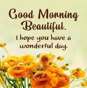 Meet your Posher, Gary